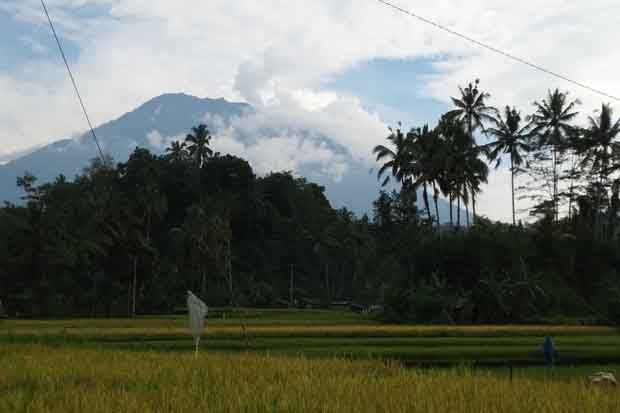 Aktivitas Gunung Agung...