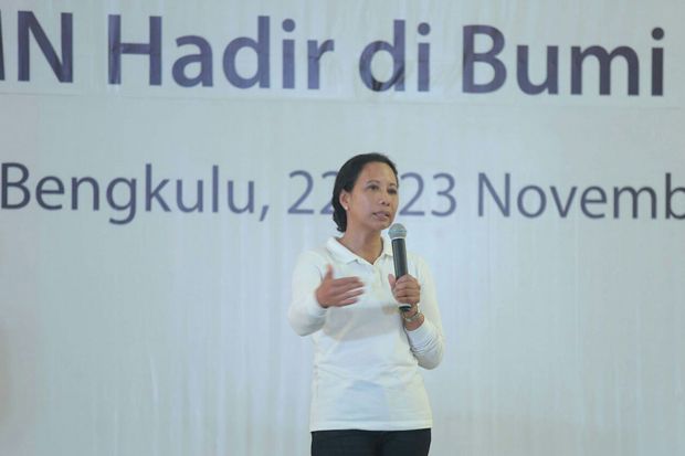 Agen Pembangunan, BUMN...
