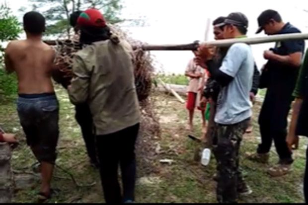 Rusak Kebun Kelapa Milik...
