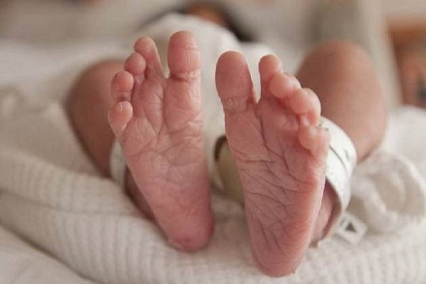 Hidup Lagi, Bayi di...