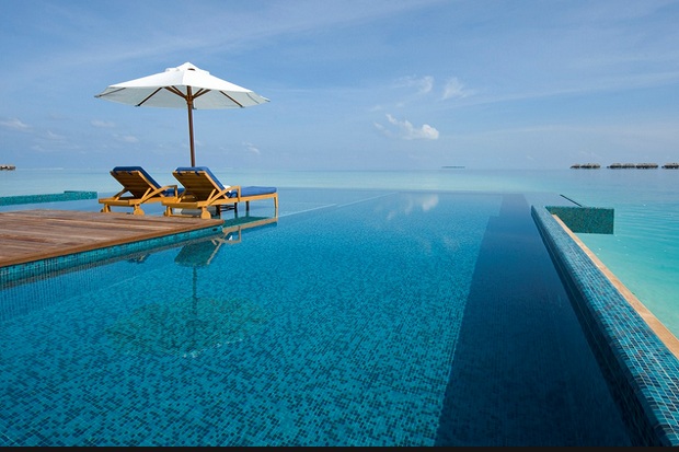Infinity Pool, Tren...