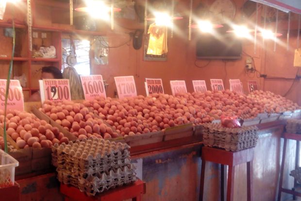 Stok Telur dan Daging...