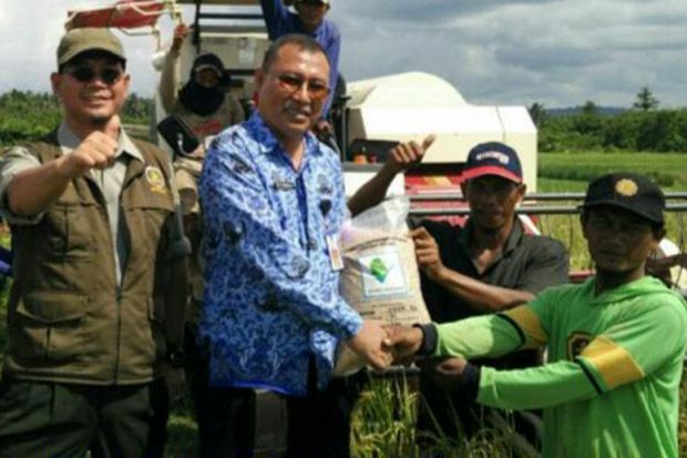 Pasokan dan Harga Beras...
