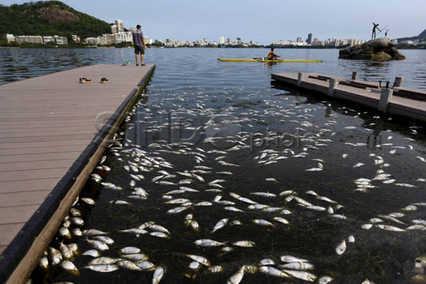 Ribuan Ikan di Bogor...