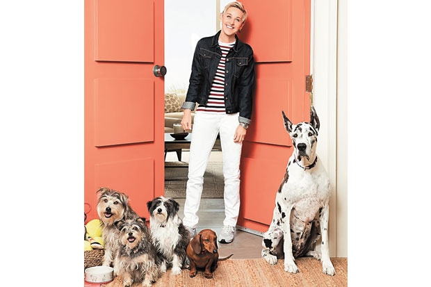 Ellen DeGeneres, Aktivis...