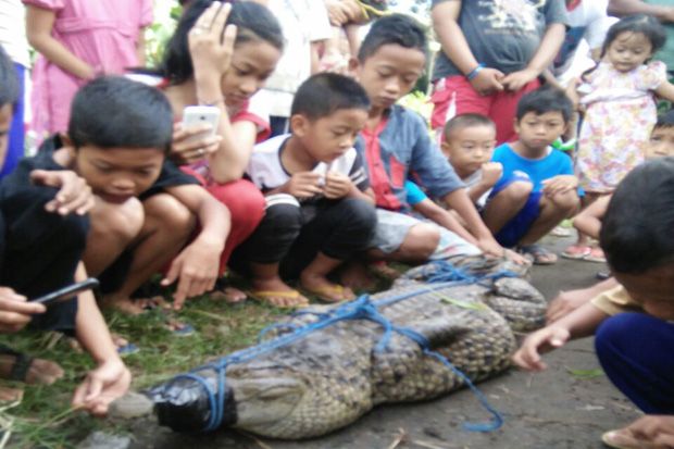 Heboh, Warga Jombang...