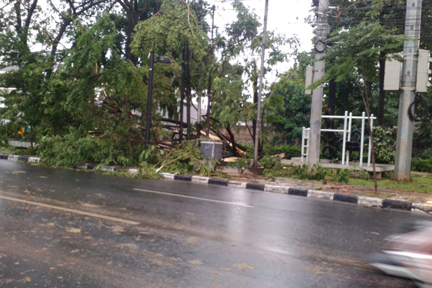 Hujan Angin, Sejumlah...