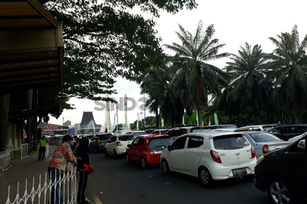 Tahun Baru, Pengunjung...