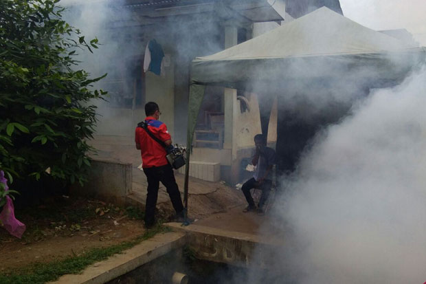 2 Warga Terkena DBD,...