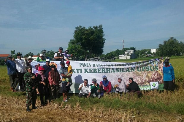 Petani di Kabupaten...