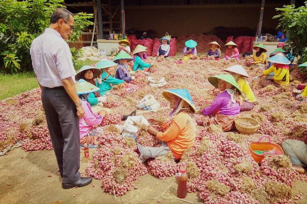 Kementan Beli Bawang...
