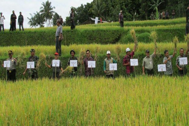 Teknologi Salibu: Petani...