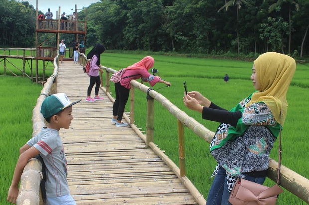 Kreatif, Area Persawahan...