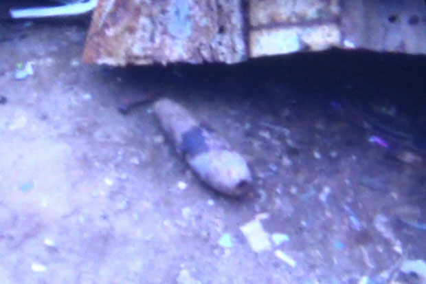 Pengepul Besi Tua Bawa...