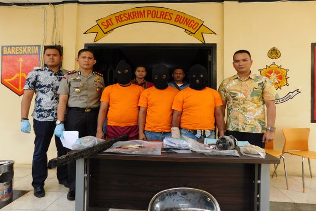 Polres Bungo Tangkap...