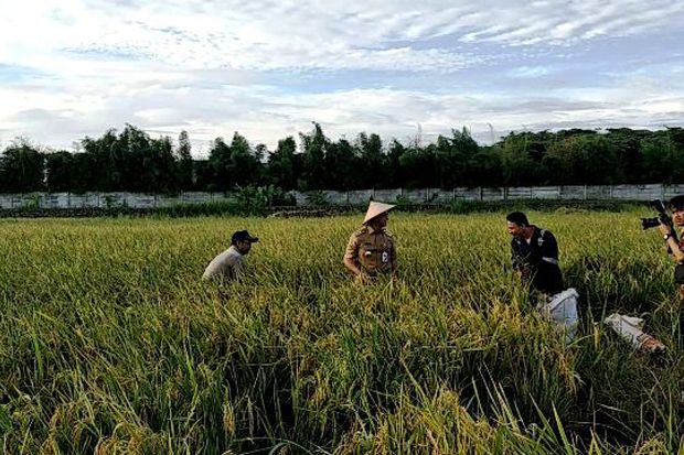 DKI Catat di Jakarta...