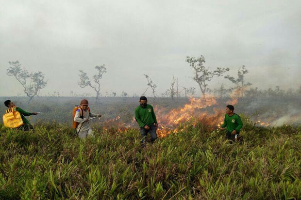 Suaka Margasatwa di...