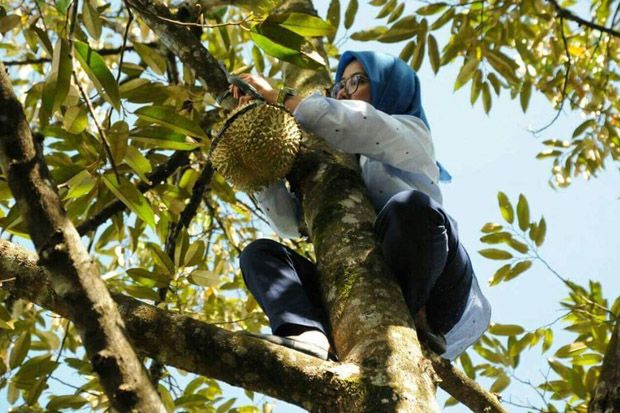 Viral! Bupati Lebak...