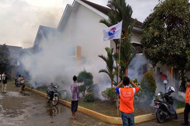 Mengeluh Banyak Nyamuk,...