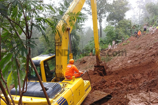 Longsor Puncak, Tim...