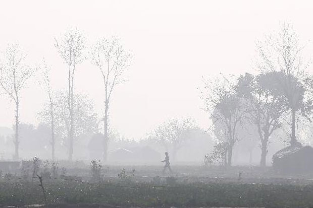 India Siapkan Anggaran...
