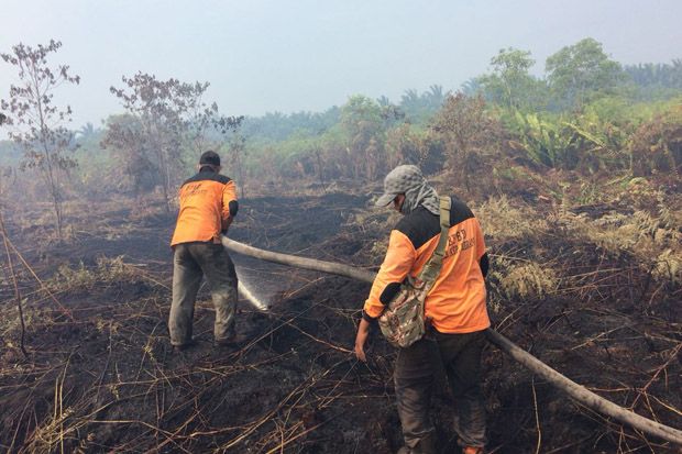 135 Hektare Lahan Terbakar,...