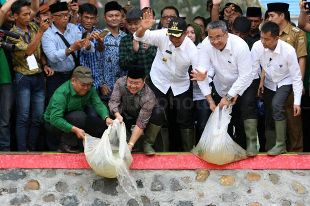 Tingkatkan Produktivitas...