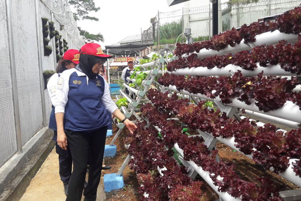 Terapkan IT, Ditjen...