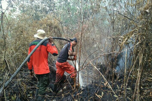 4 Provinsi Siaga Darurat...