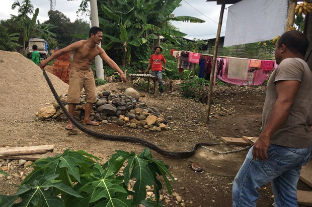 Warga Lubuk Linggau...