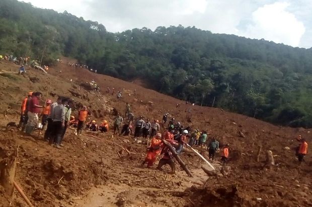 Hujan Lebat, Pencarian...