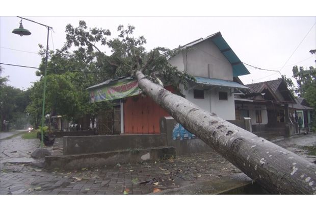 Ratusan Rumah Warga...