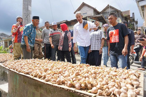 Surat Kementan Bikin...