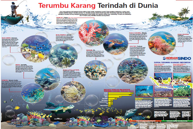 Terumbu Karang Terindah...