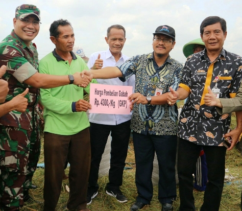 Serap Gabah Petani,...