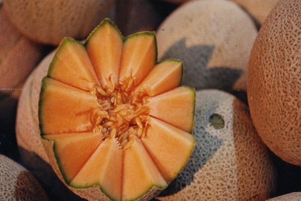Keracunan Melon, 3 Warga...