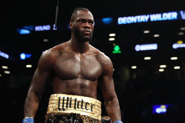 Wilder Berencana Tantang...