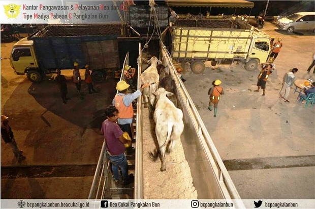 Bea Cukai Pangkalan...