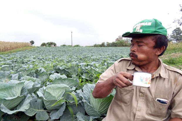 Anjlok Tiga Bulan, Harga...