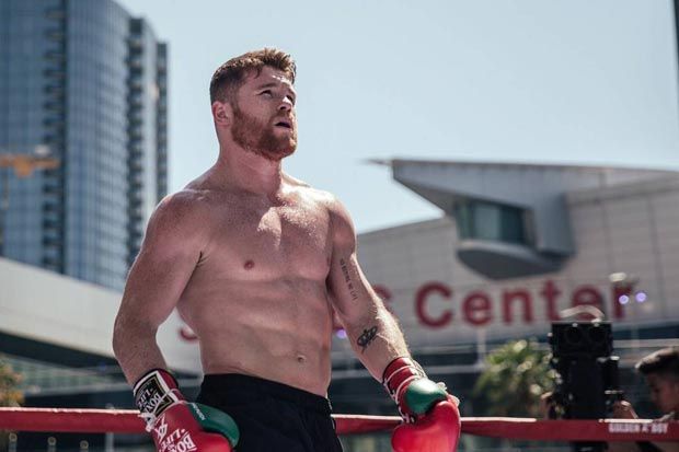 Canelo Alvarez Konsumsi...