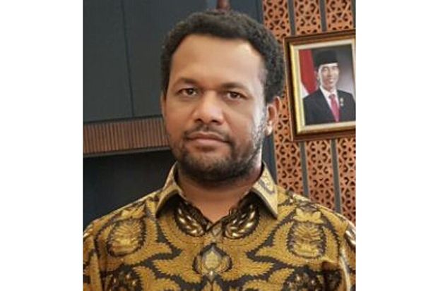 Potensi Kabupaten Mappi...