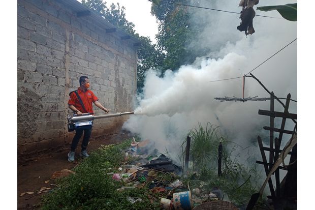 Rescue Perindo Fogging...