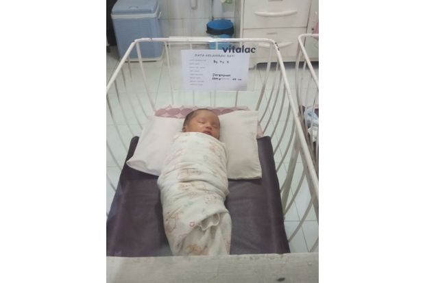 Dibuang Ibu, Bayi Berusia...