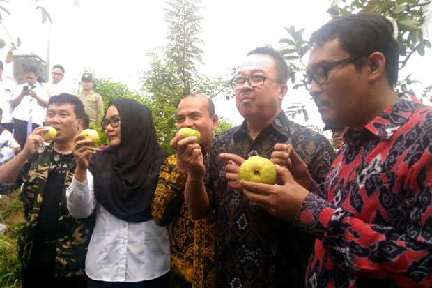 Produk Unggulan Kawasan...
