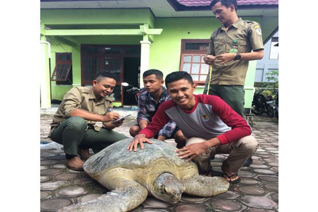 Anggota Brimob Amankan...