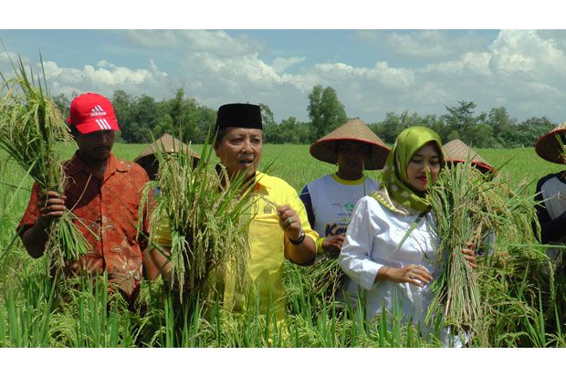 Pasangan Arinal-Nunik...