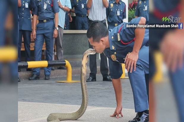 Pernah Digosipkan Nikahi...