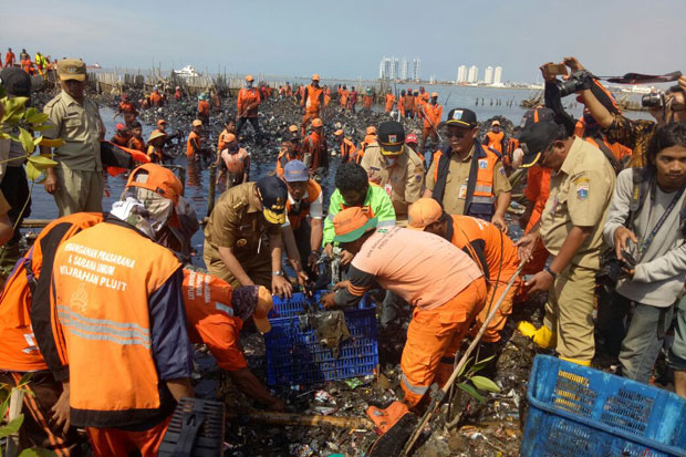 Bersihkan Hutan Mangrove,...