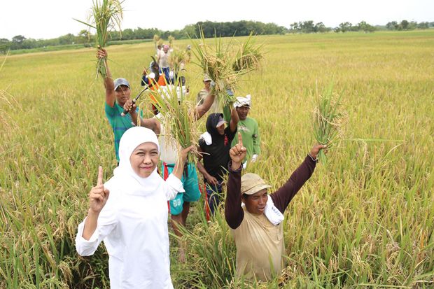 Khofifah Ingin Stabilitas...