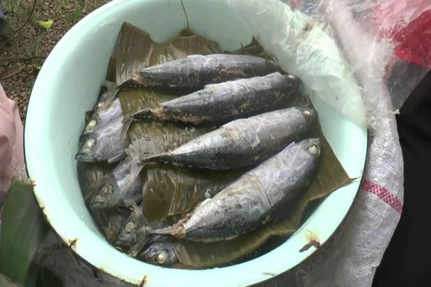 Lezatnya Ikan Pindang...